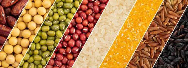 四季,美食,FHC,不时不食，愿四季被美食优待！